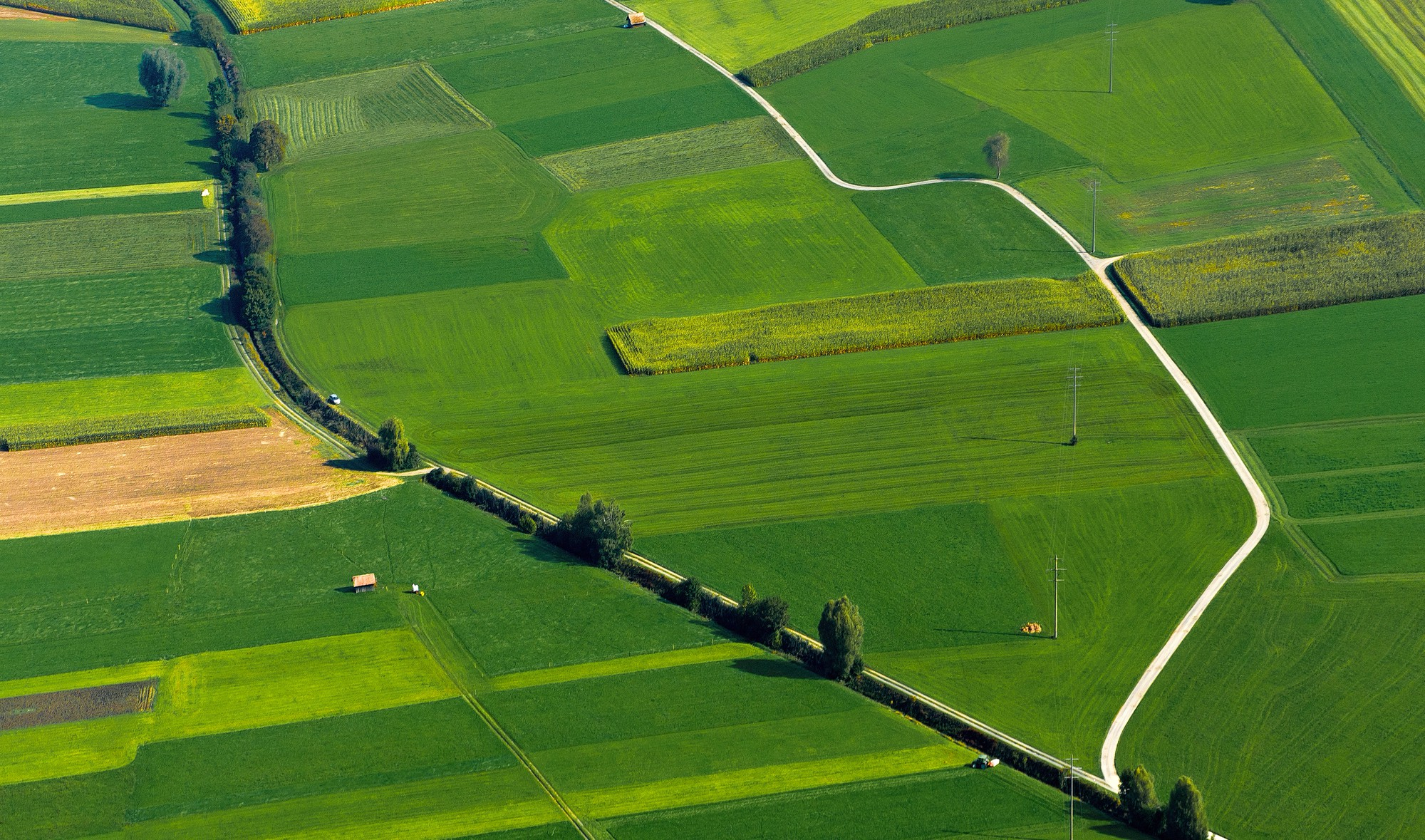 Projeto agrícola sendo implementado